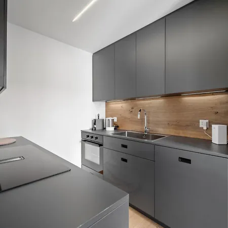 Luxury Lakeview In Center Apartment St. Moritz